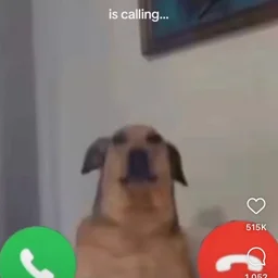 sasha_64